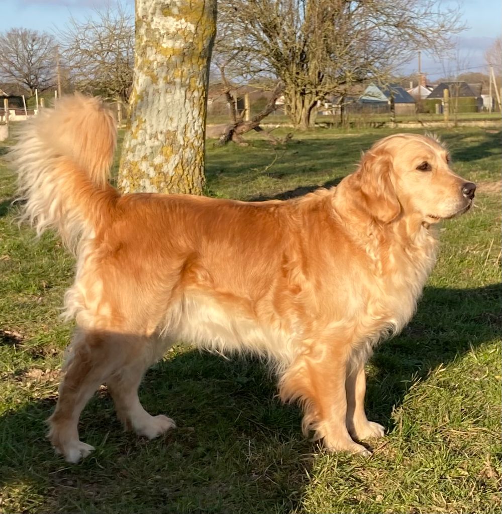 Oceane de la vallée Morgane