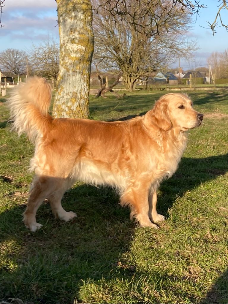 Oceane de la vallée Morgane